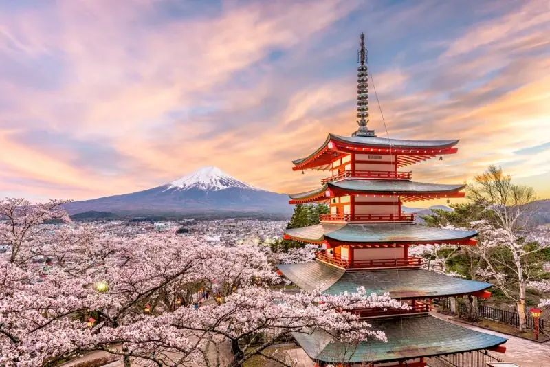 Chureito pagoda in cherry blossom with Mount Fuji behind